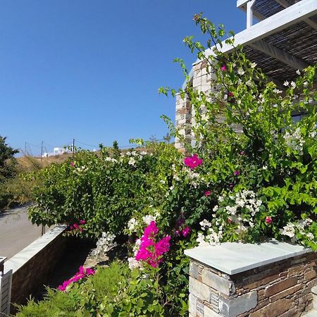 Aeolia Villas Kárystos Eksteriør bilde